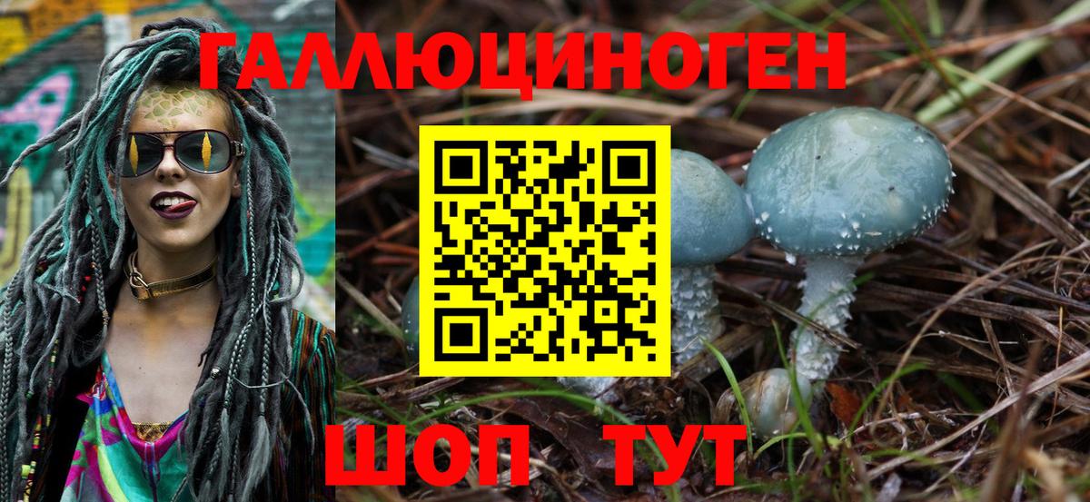 Псилоцибиновые грибы GOLDEN TEACHER  Псилоцибиновые грибы прущие грибы  Ржев  как найти наркотики  Вход с VPN 